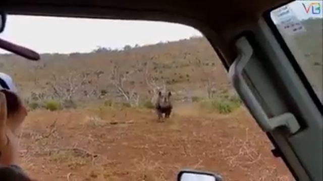 жуда хафли хайвонлар смотреть онлайн