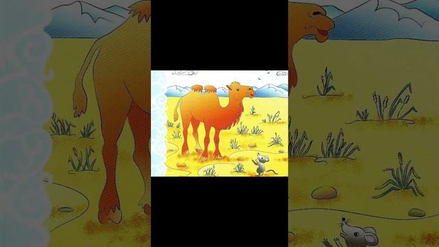 "Почему верблюд оглядывается когда пьет? " , "Ворона и рак" , "Какой день?" смотреть онлайн