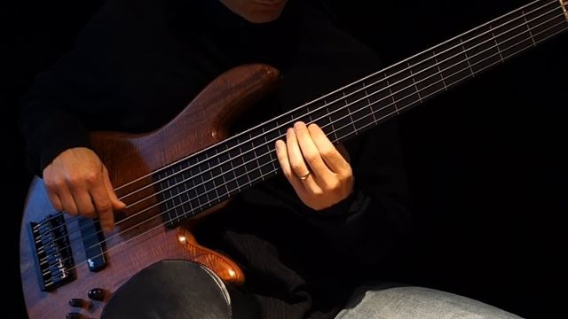 Six String Fretless Bass Solo & Ebow to R E L A X - Healing Sun смотреть онлайн