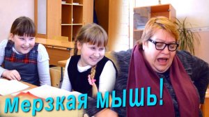 Они подбросили учительнице мышь