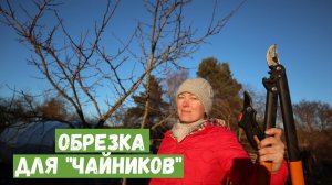 Обрезка плодовых деревьев для "чайников" / Как обрезать на почку, на кольцо / Однолетний прирост