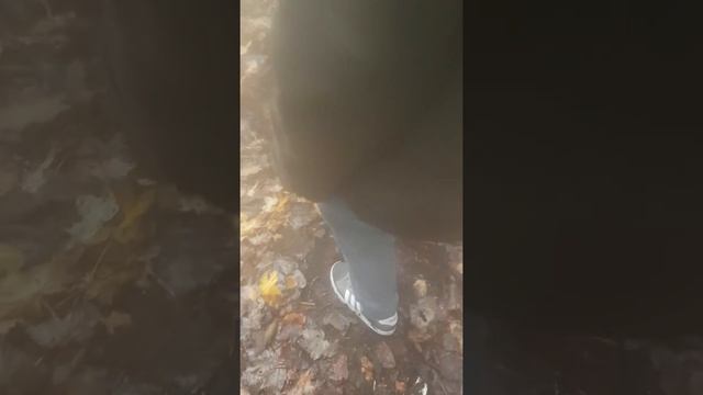 3 guys 1 BRAIN FUNGUS смотреть онлайн