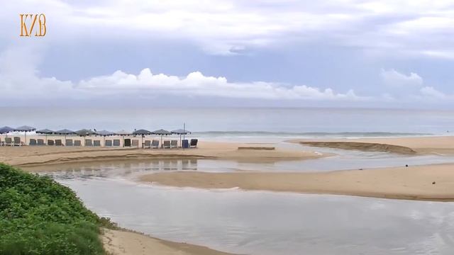 Мир природы Таиланда. Растения, деревья, цветы на острове Пхукет. смотреть онлайн