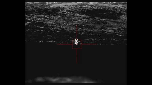 Actually how clear is the Infiray Tube TH50 Thermal Scope ?? смотреть онлайн