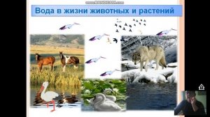 Окружающий мир 2 класс Про воду