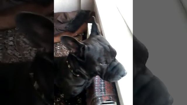 Мотя поет песню смотреть онлайн