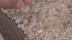 Как я нашёл лосиный рог.