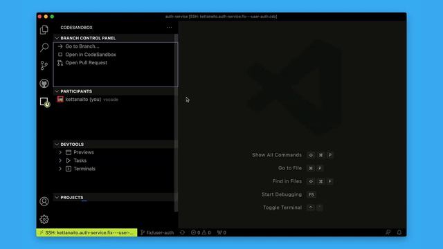 Working locally on Projects with the VS Code Extension смотреть онлайн