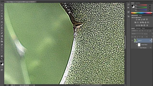 Photoshop Playbook: Intro to Non-Destructive Techniques Using Smart Objects/Filters | Adobe смотреть онлайн