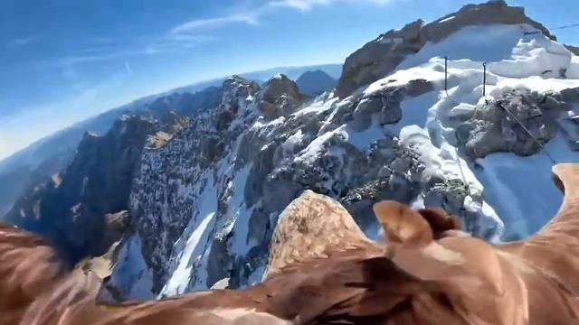 Полет орла над горами. смотреть онлайн