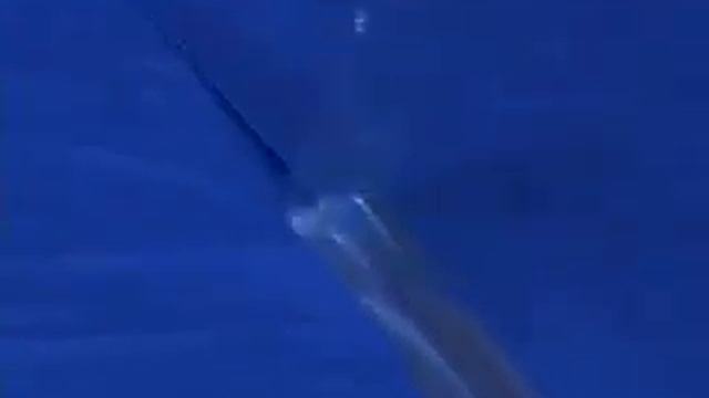 How To Install Gym Floor Cover