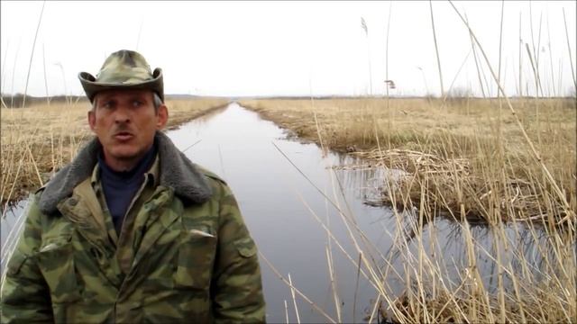 Каналы Полесского района. смотреть онлайн