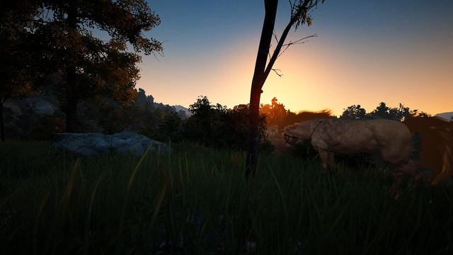 Black Desert (MMORPG - ИГРЫ) ? Как сделать рысака ♻ Моя тактика ролл скилов в BDO