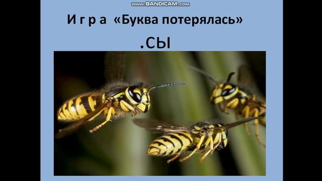 Звук [о]. Буквы О,о смотреть онлайн