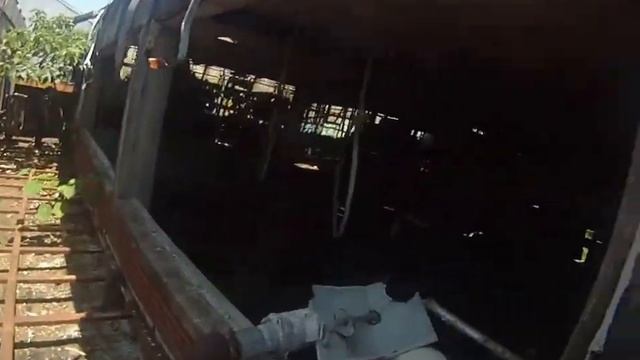 ( Abandone) frosty morn Clarksville TN смотреть онлайн