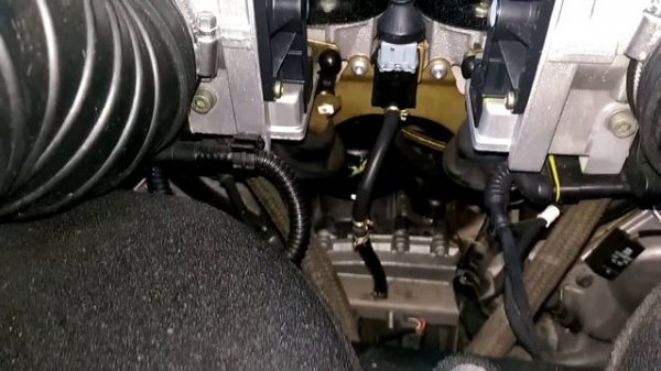 Lamborghini Gallardo Oil Change, Filter, and Oil Level Check