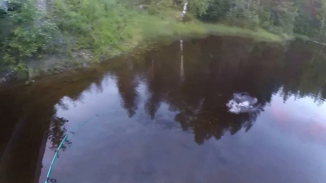 Поймал щуку на вертушку Kuusamo. смотреть онлайн