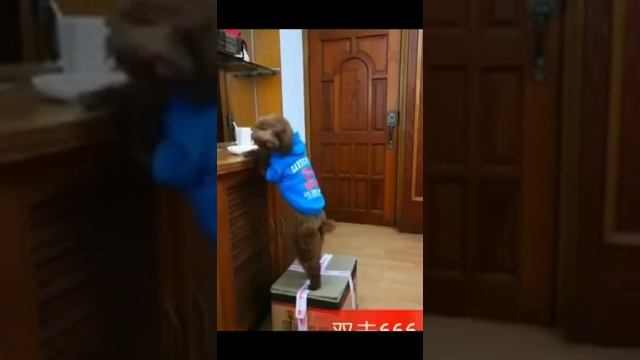 Улыбка утра! смотреть онлайн