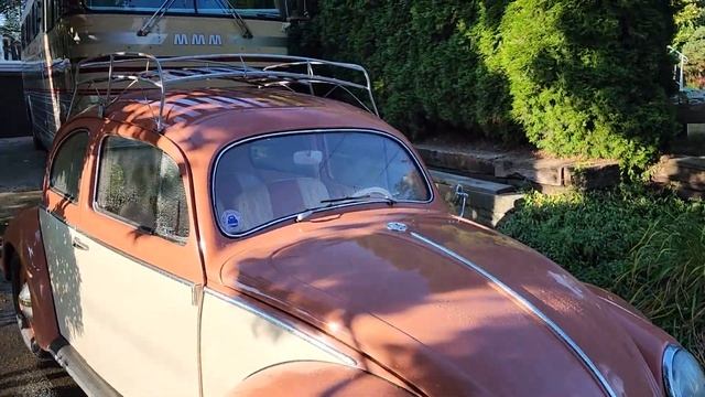 1955 Beetle FOR SALE смотреть онлайн