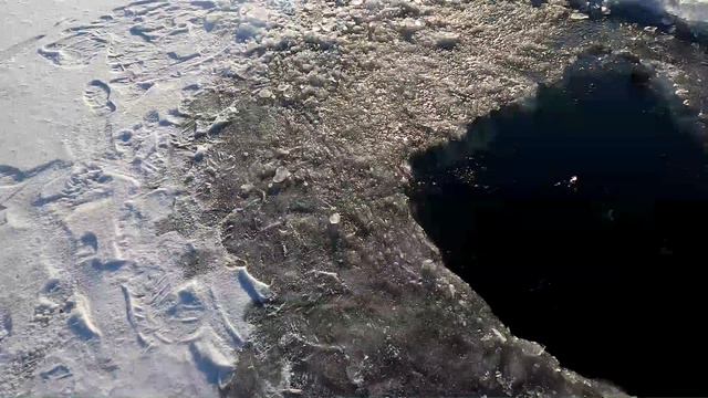 Свято Водохреща на Борисфенi! смотреть онлайн