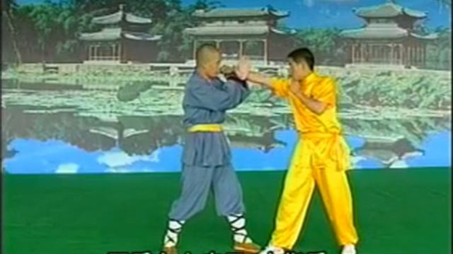 Shaolin Kung Fu: 38 Fight Techniques