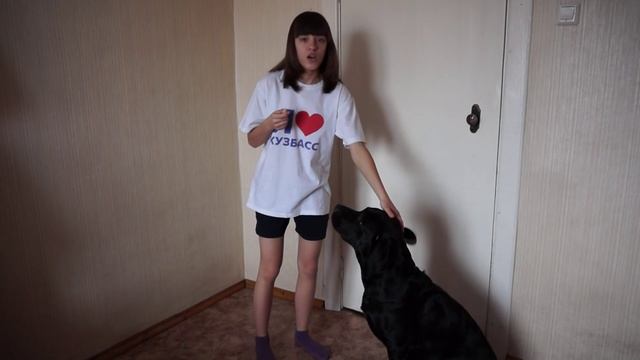 Как научить собаку команде " ГОЛОС " смотреть онлайн