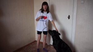 Как научить собаку команде " ГОЛОС "