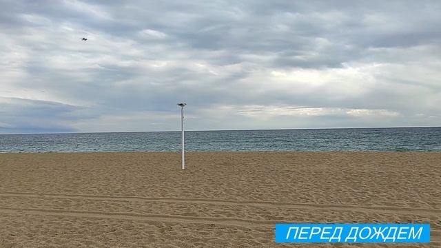 Весна в Испании??/ Мимозы, испанские зарисовки/ Жизнь в Испании/ Lanaartlife смотреть онлайн