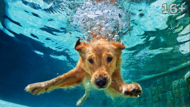 "Он никогда не будет ходить" - такой был вердикт врачей смотреть онлайн