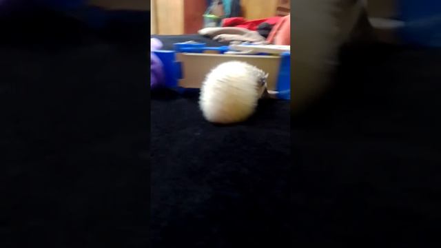 10 de agosto de 2023 смотреть онлайн