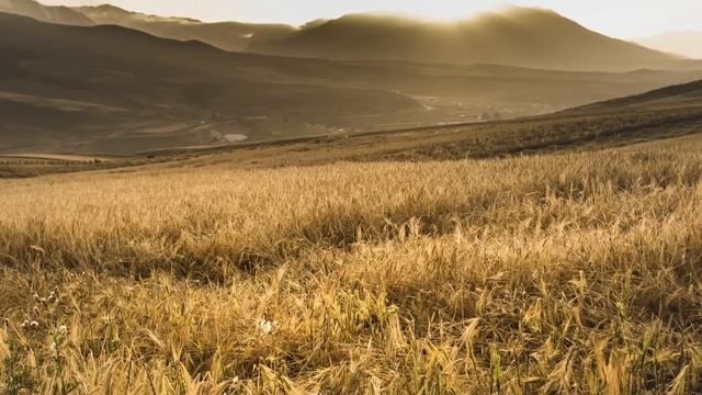 Родичи повадились в наш дом у моря, и у мужа лопнуло терпение окончательно... смотреть онлайн