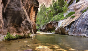 Звуки природы лесной реки - Скалистая извилистая река ✦ Звуки леса и пение птиц ✦ Relax Sleep