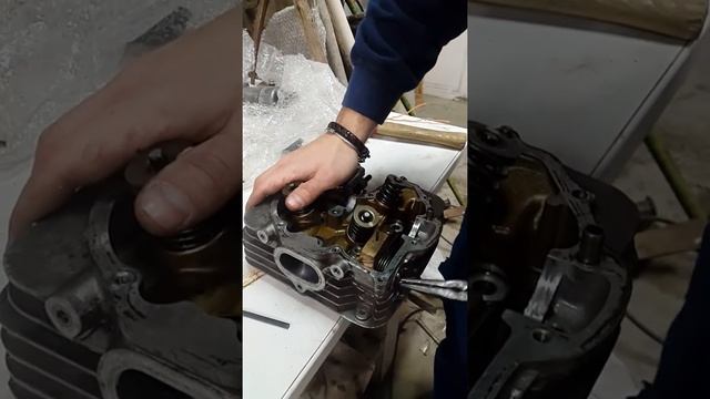 technique montage tendeur chaîne distribution nx dominator 650 смотреть онлайн