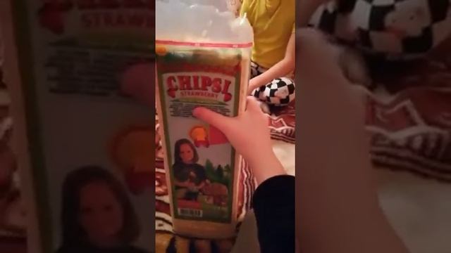 Какой наполнитель лучше покупать смотреть онлайн