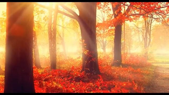 Очищение подсознания, чтобы отпустить отжившее смотреть онлайн