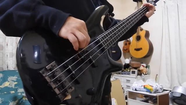 Offspring : Me & My Old Lady (Bass Cover) смотреть онлайн