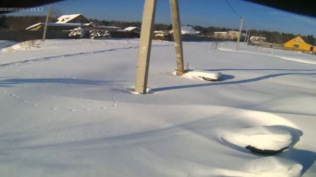 Ласка на дачном участке. смотреть онлайн