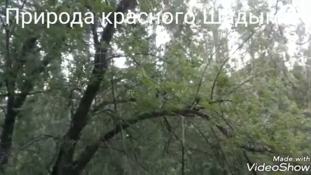 Фотографии деревни. смотреть онлайн