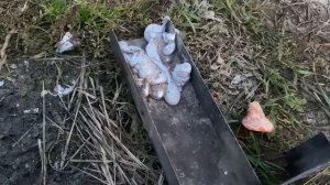 Сдаём медь и железо.