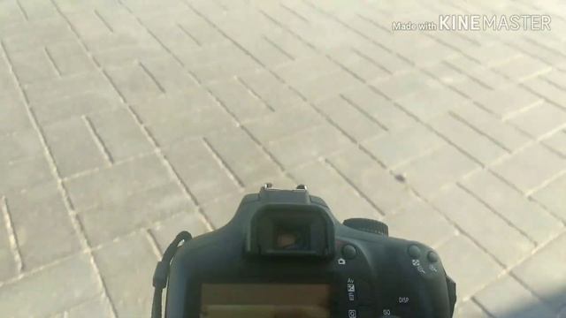 Обзор на камеру canon 4000d смотреть онлайн