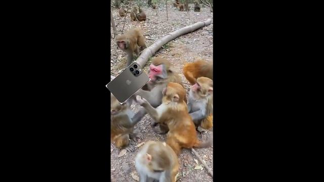 Когда вышел айфон,ты побежал покупать и остался последний!!