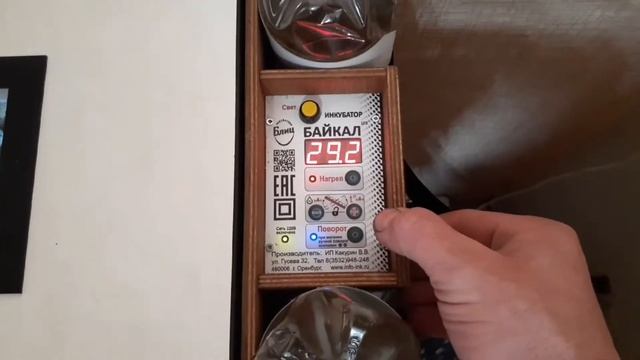 Инкубатор Блиц Байкал/закладка перепелиных яиц смотреть онлайн