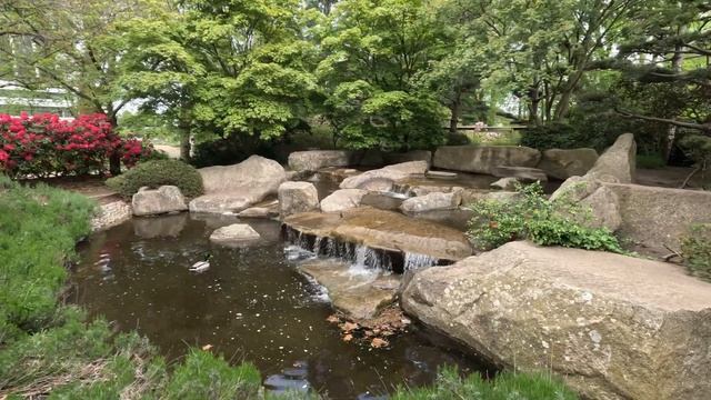 Planten und Blomen Hamburg. Central Park. смотреть онлайн