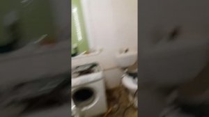 Стиральная машина zanussi мигают все лампочки, ошибка.