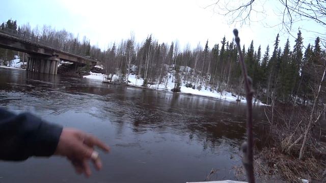 река Пукшеньга сегодня. весна идет!!! 03.05.23 г. смотреть онлайн