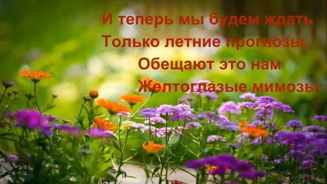 Мои стихи Желтоглазые мимозы смотреть онлайн