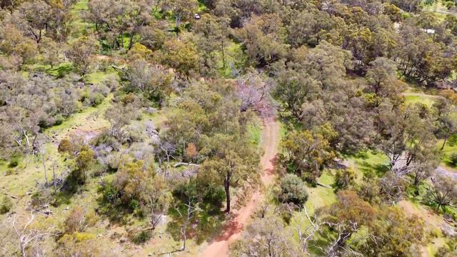 Kusala Hermitage Project | Ajahn Santutthi & Ajahn Jhanarato | October 2020 смотреть онлайн