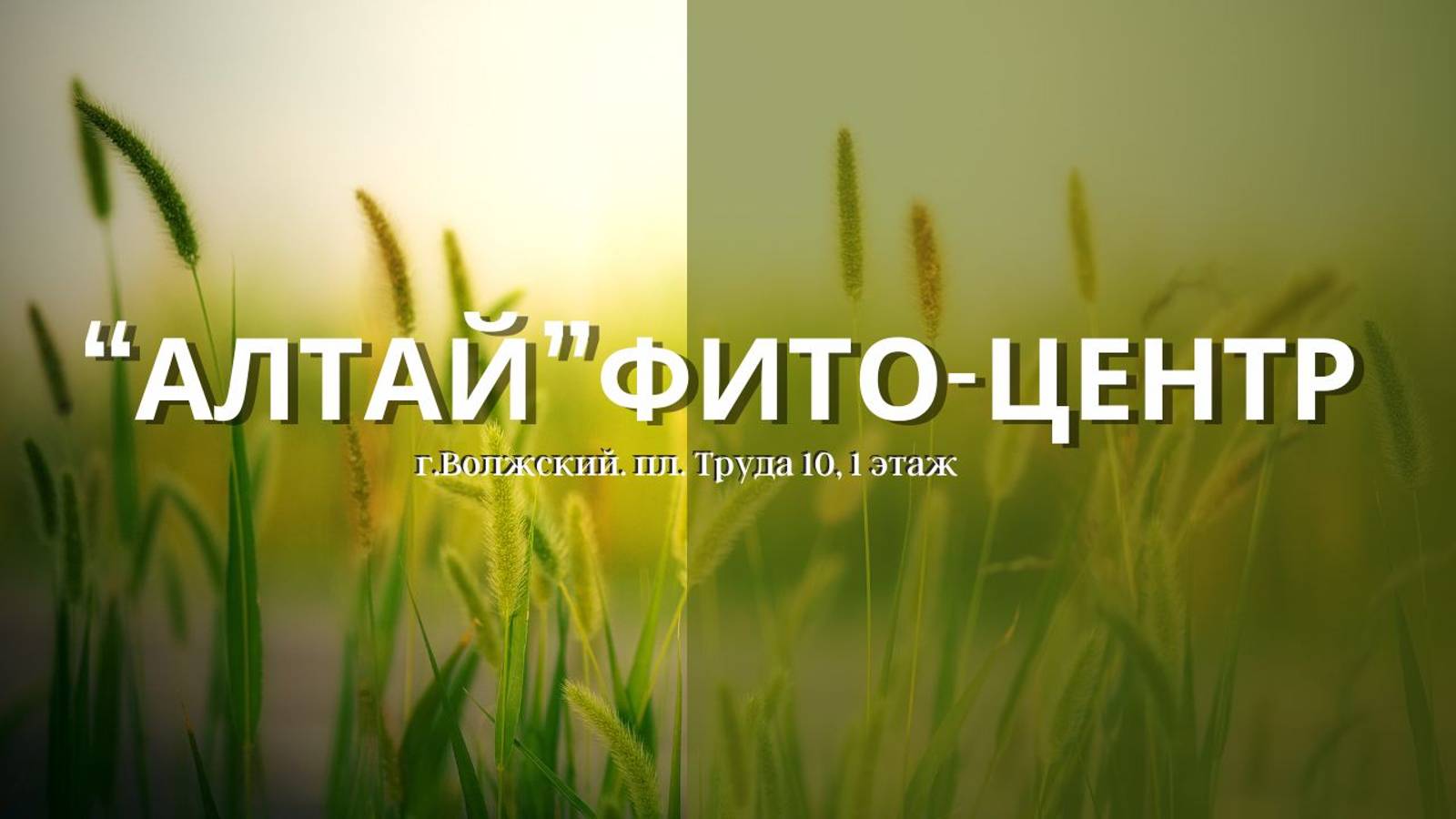 Фитоцентр "Алтай"