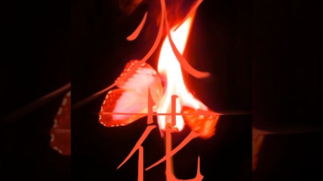 HANN (Alone in winter) (한(寒)) смотреть онлайн