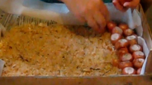 ЗЕЛЕНЫЙ ЛУК КРУГЛЫЙ ГОД!!! ЛУК В ОПИЛКАХ /Chives ALL YEAR ROUND !!! Onions in sawdust смотреть онлайн